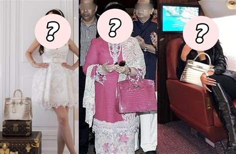 who owns most expensive birkin bag
